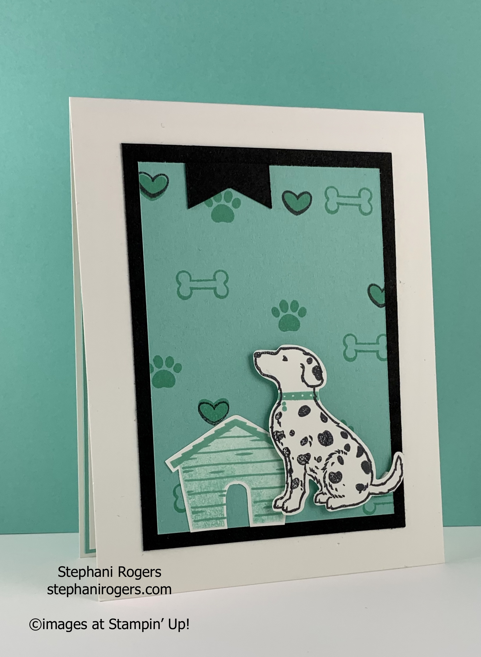 Happy Tails