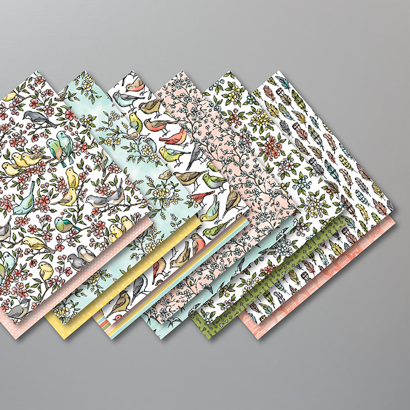 A look at all the designs in the Bird Ballad paper pack
