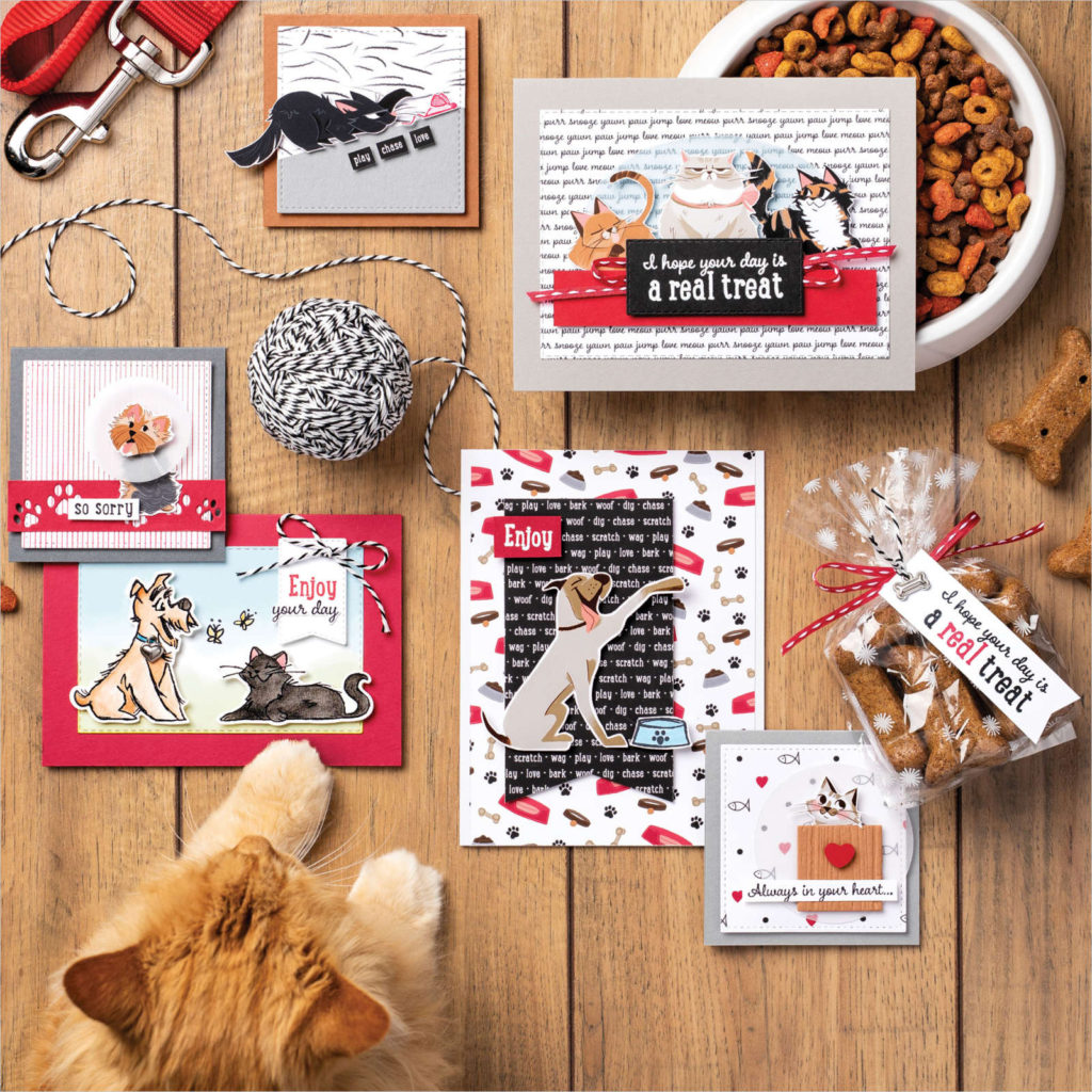 Set of projects using the stamp set