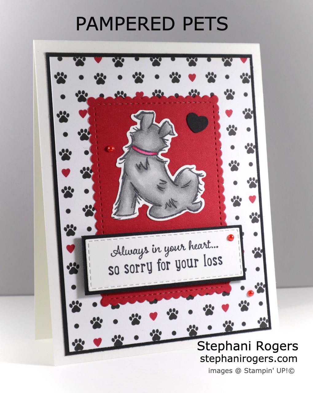Loss of Pet Sympathy Card